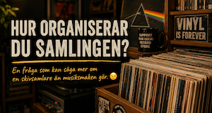 Hur organiserar du samlingen?